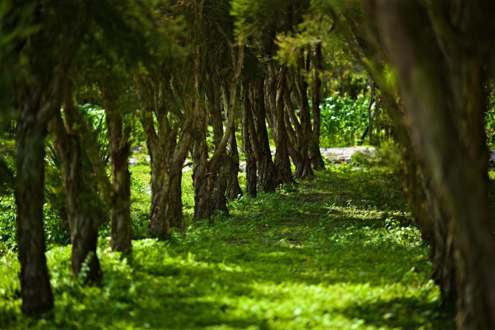 Gaeavilla Resort Ji'an Luaran gambar